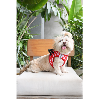 Pets Way Cupid Air Mesh Printed Harness for Puppies and Small Dogs