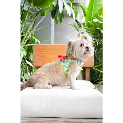 Pets Way Fruity Air Mesh Printed Harness for Puppies and Small Dogs