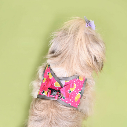 Pets Way Pine Air Mesh Printed Harness for Puppies and Small Dogs