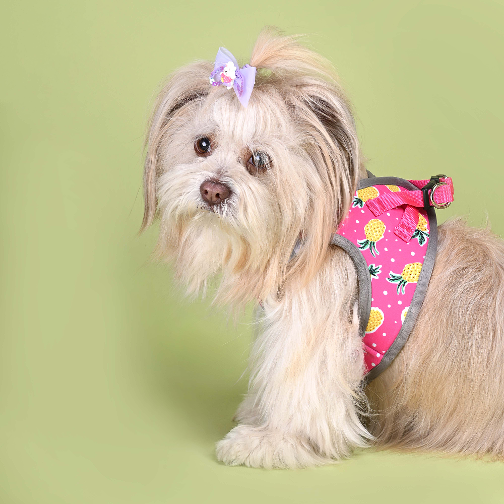 Pets Way Pine Air Mesh Printed Harness for Puppies and Small Dogs
