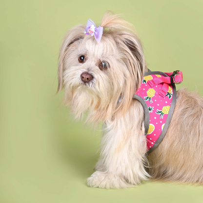 Pets Way Pine Air Mesh Printed Harness for Puppies and Small Dogs