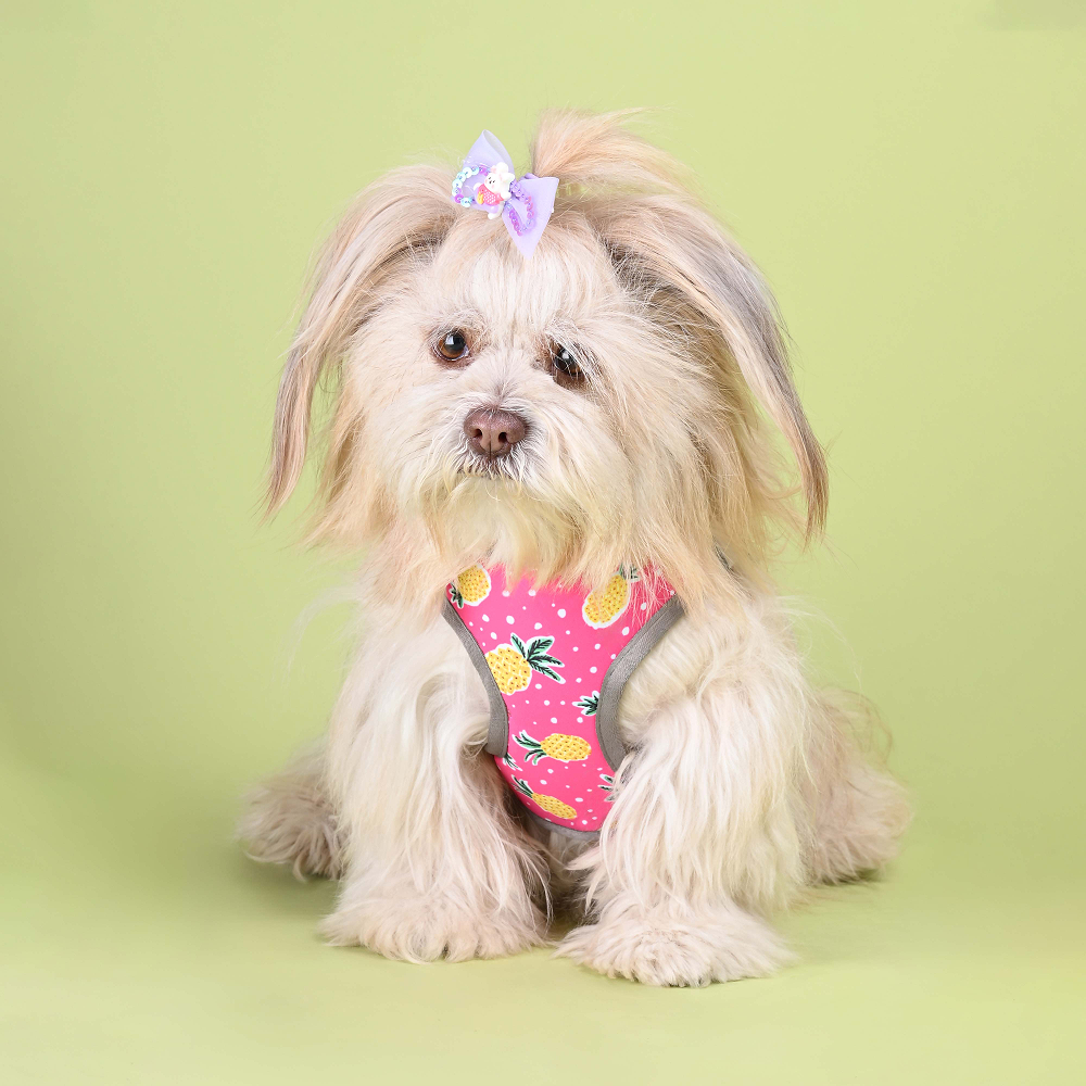 Pets Way Pine Air Mesh Printed Harness for Puppies and Small Dogs