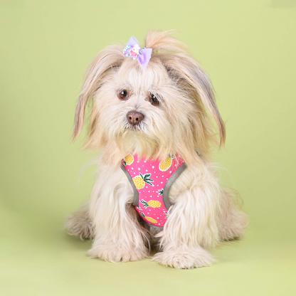 Pets Way Pine Air Mesh Printed Harness for Puppies and Small Dogs