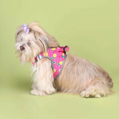 Pets Way Pine Air Mesh Printed Harness for Puppies and Small Dogs