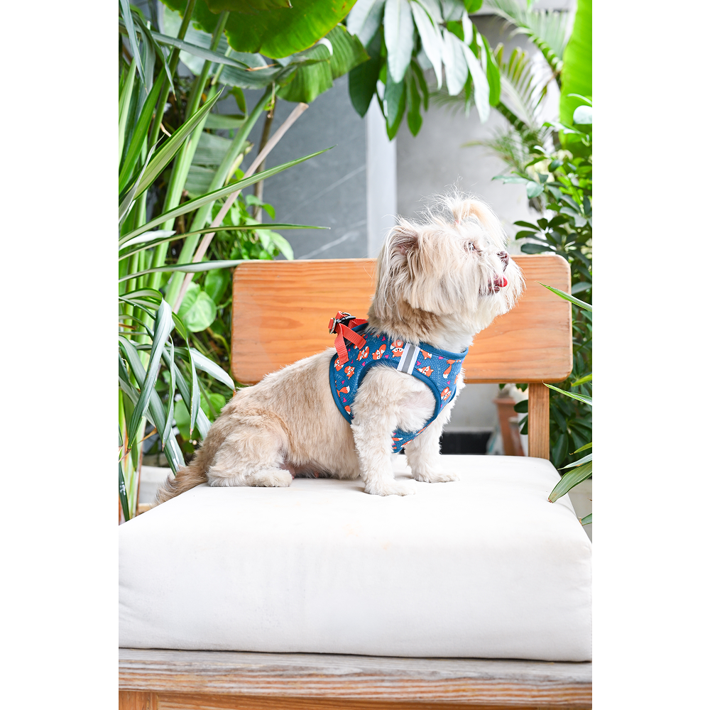Pets Way Foxie Air Mesh Printed Harness for Puppies and Small Dogs