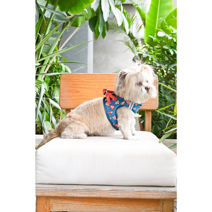 Pets Way Foxie Air Mesh Printed Harness for Puppies and Small Dogs
