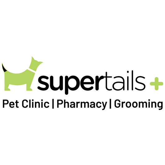 Anyday Complete Grooming (Long Coat Breeds) Cat