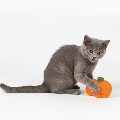 Skatrs Purrkin Spice Catnip Toy for Cats