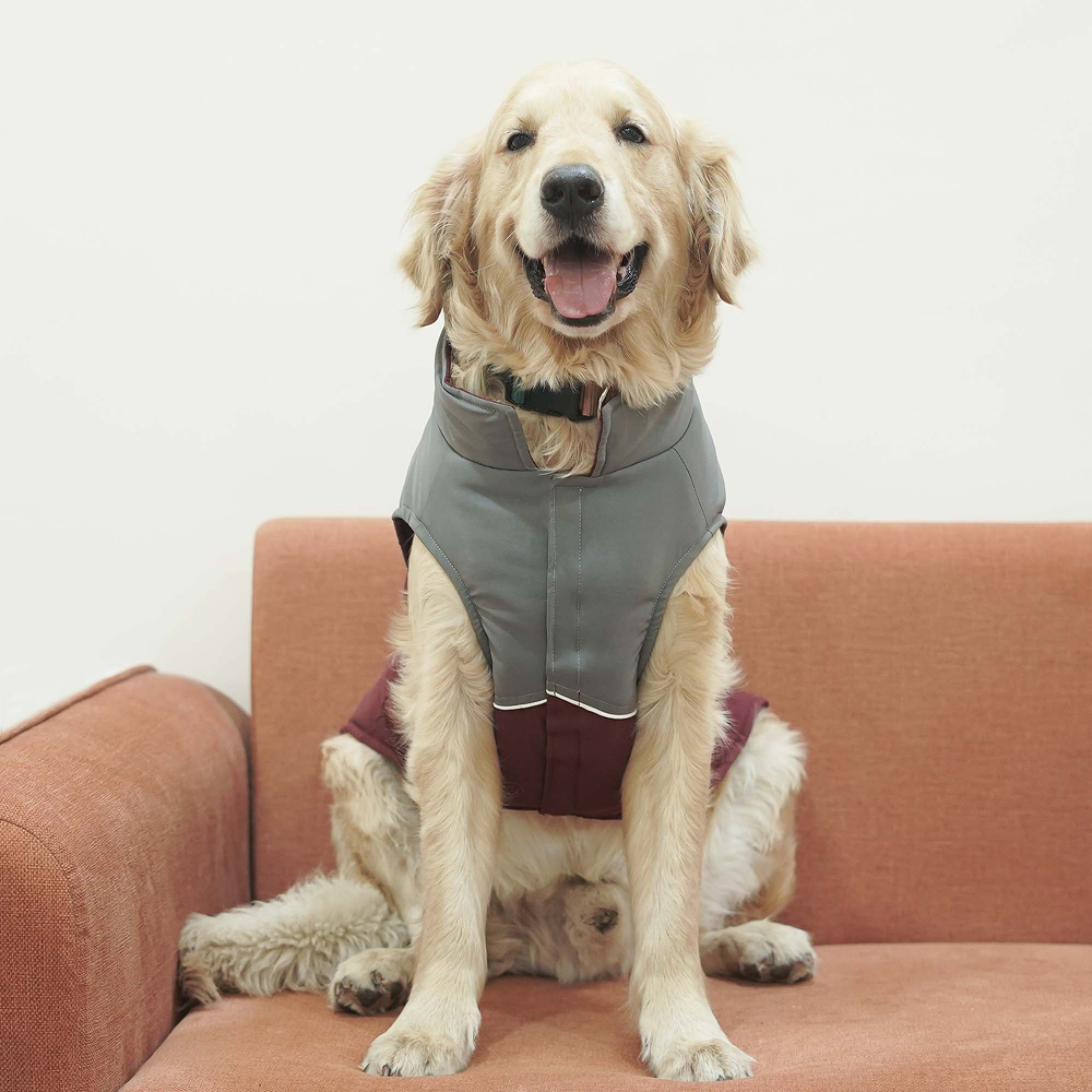 Pets Way Frost Winter Jacket for Dogs (Wine)