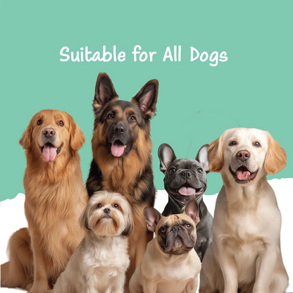 Fullr Daily Wellness Soft and Chewy Stick Treats