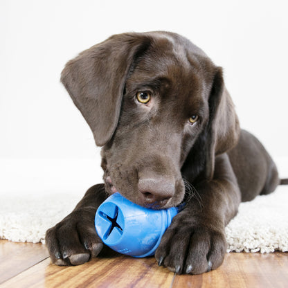 Kong Genius Leo Toy for Dogs (Blue)