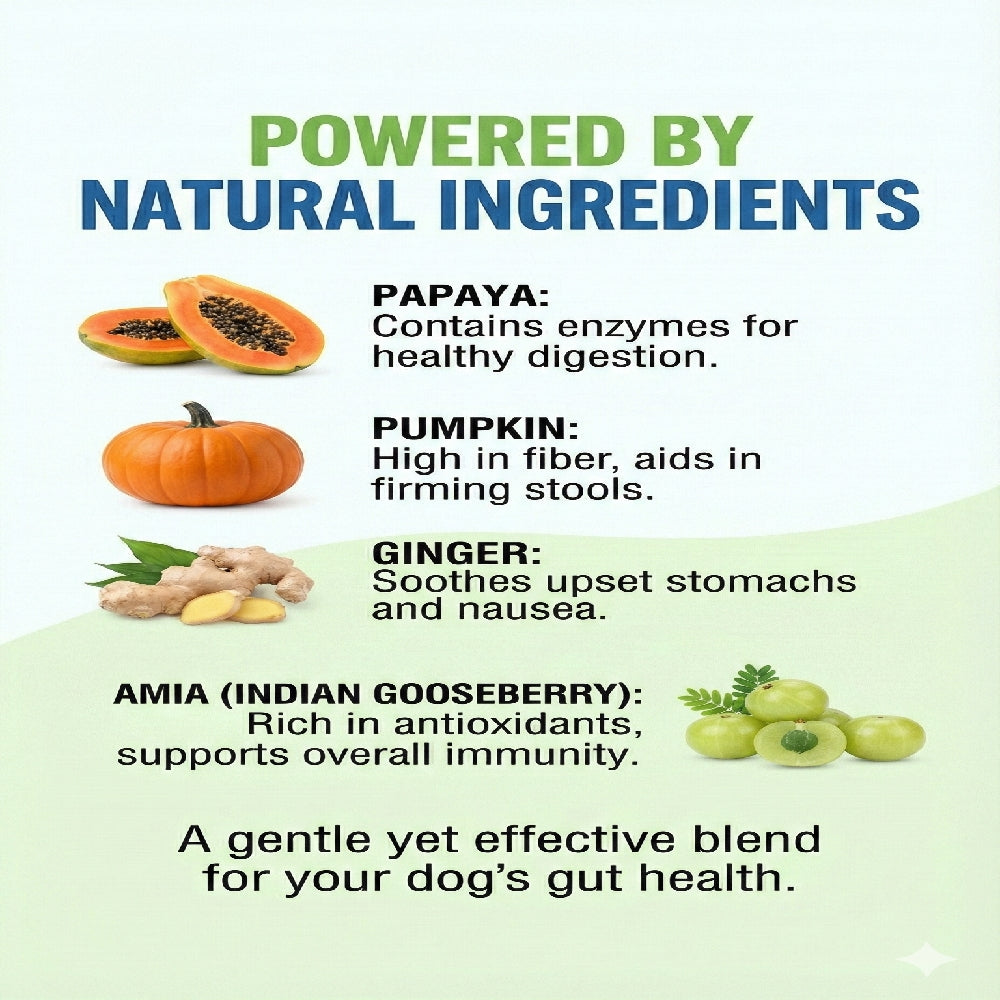 Nootie+ Digestive & Probiotic Gut Chew Supplement for Dogs