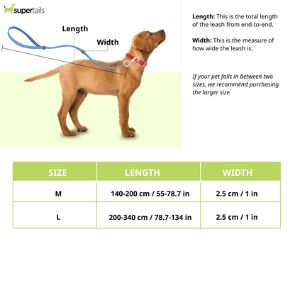 Truelove Bunjee Leash for Dogs (Baltic)