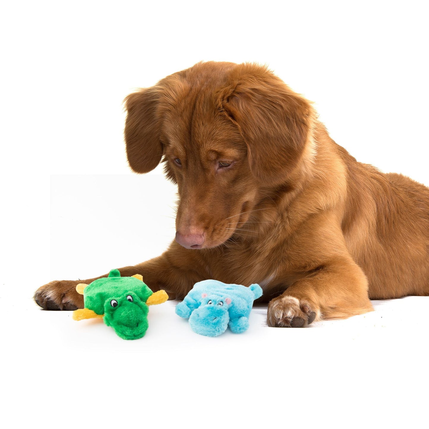 Zippy Paws Squeakie Pads Hippo & Aligator Plush Toy for Dogs