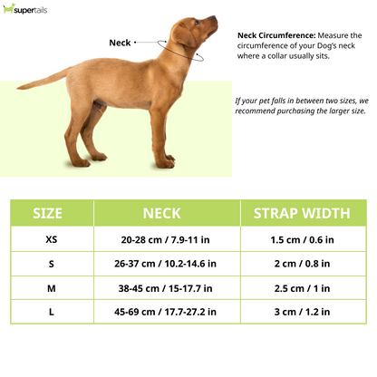 HUFT Classic D Ring Collar for Dogs (Coal Black)