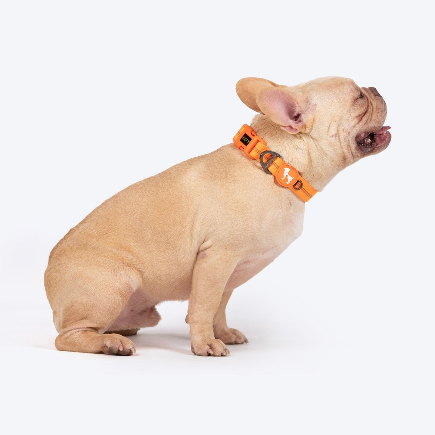 HUFT Xplorers Collar for Dogs (Orange)