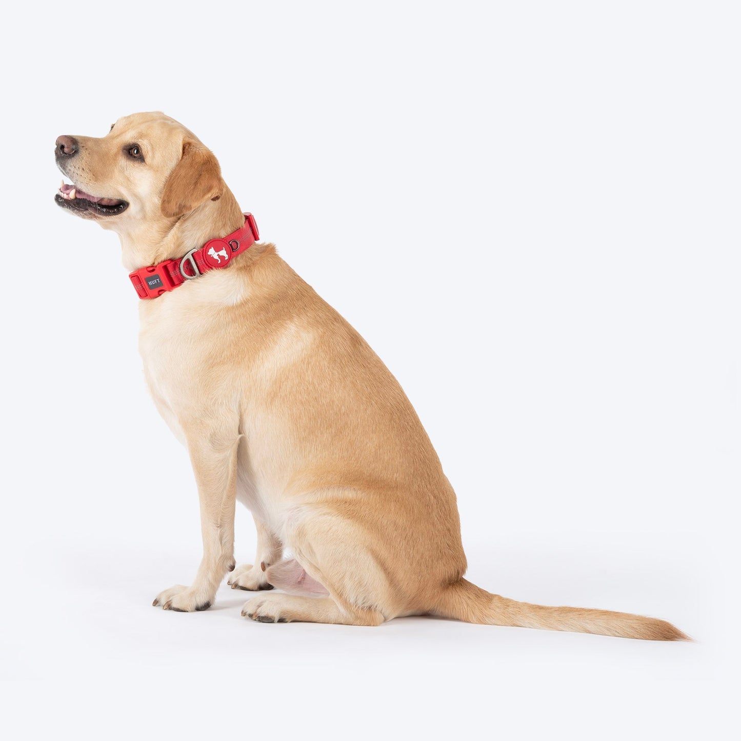 HUFT Xplorers Collar for Dogs (Red)