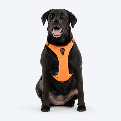 HUFT Xplorers Harness for Dogs (Orange)