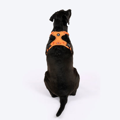 HUFT Xplorers Harness for Dogs (Orange)