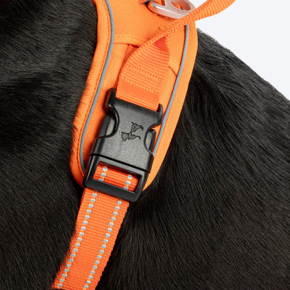 HUFT Xplorers Harness for Dogs (Orange)
