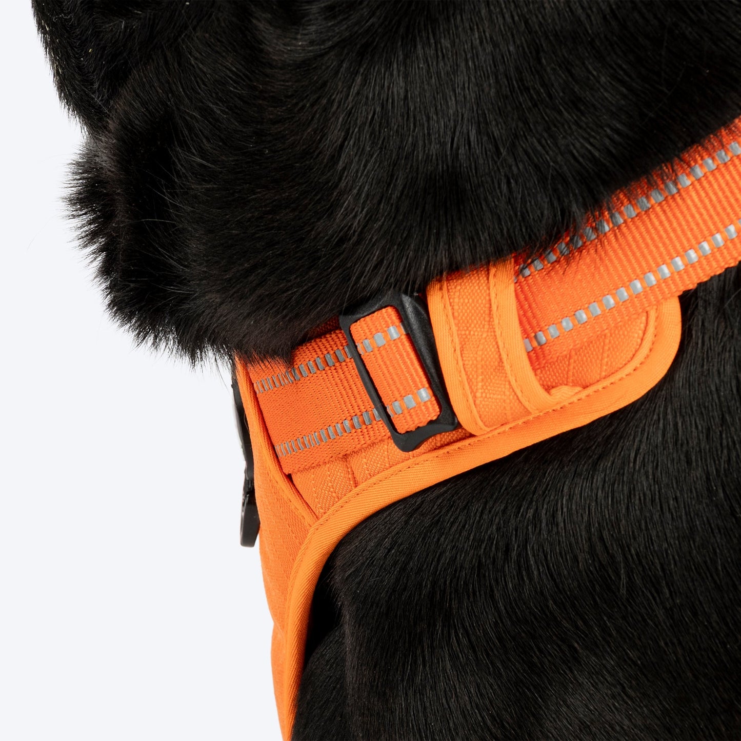 HUFT Xplorers Harness for Dogs (Orange)