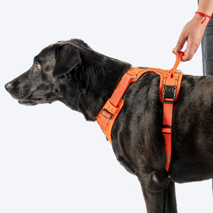HUFT Xplorers Harness for Dogs (Orange)