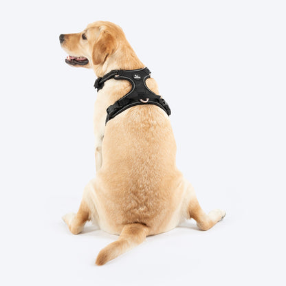 HUFT Xplorers Harness for Dogs (Black)