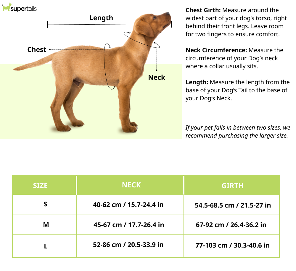 HUFT Xplorers Harness for Dogs (Black)