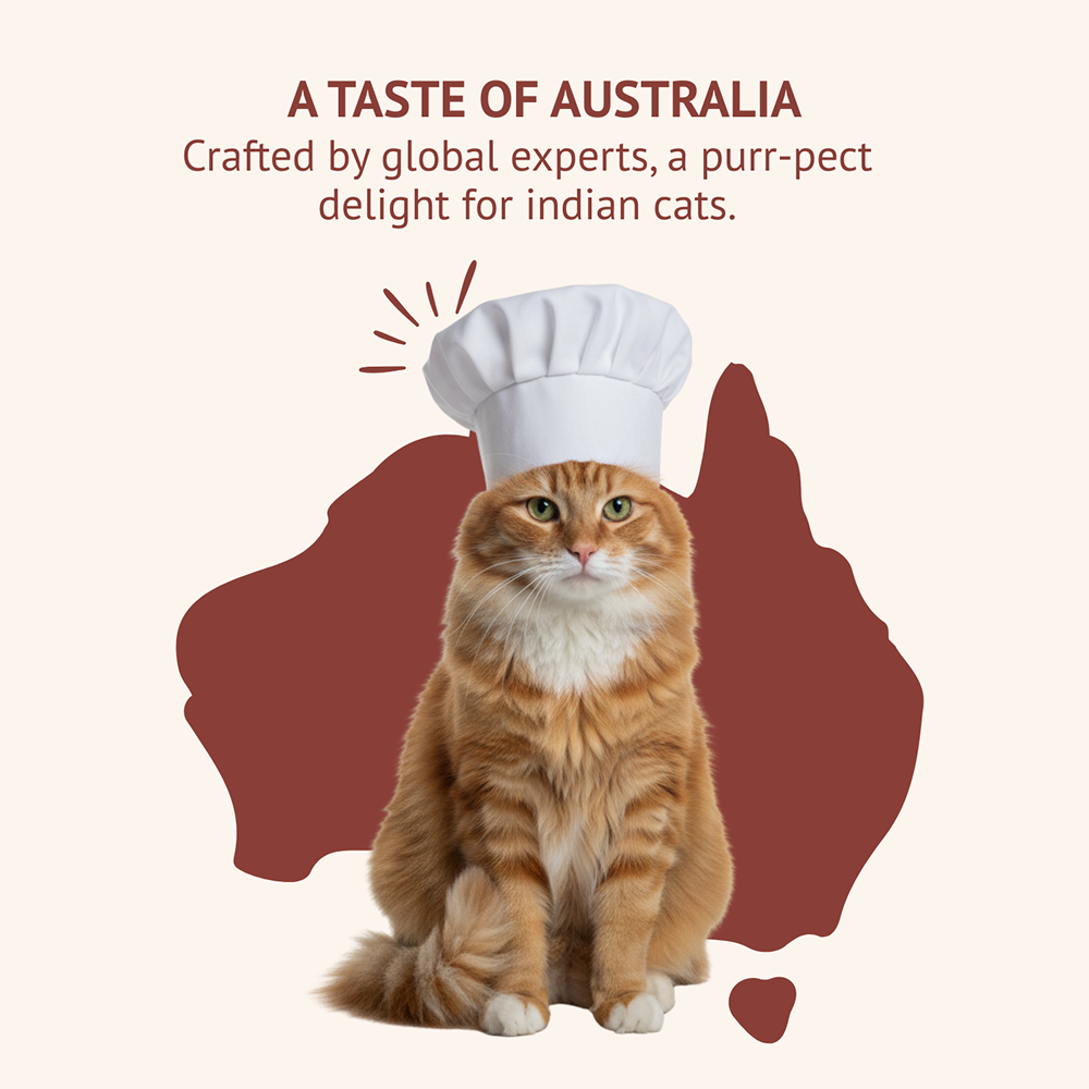Goofy Tails Himalayan Trout & Anchovies Cat Meals