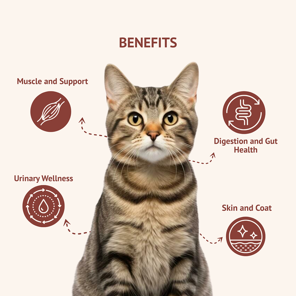 Goofy Tails Himalayan Trout & Anchovies Cat Meals