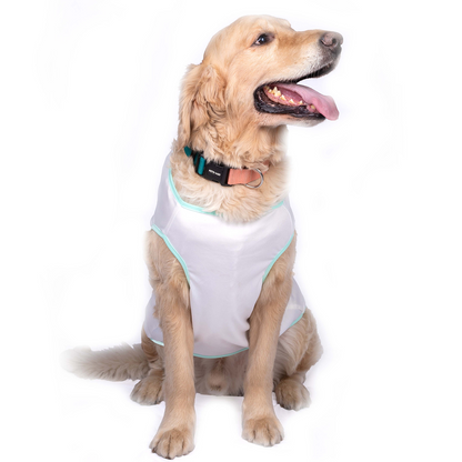 Pets Way Holi Vest for Dogs (White)