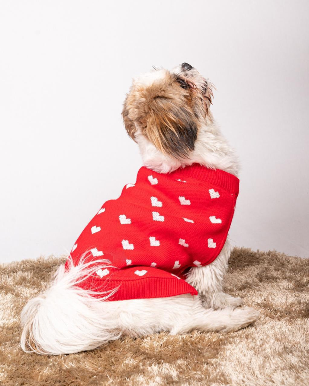 15 Furries Red Heart Sweater for Dogs