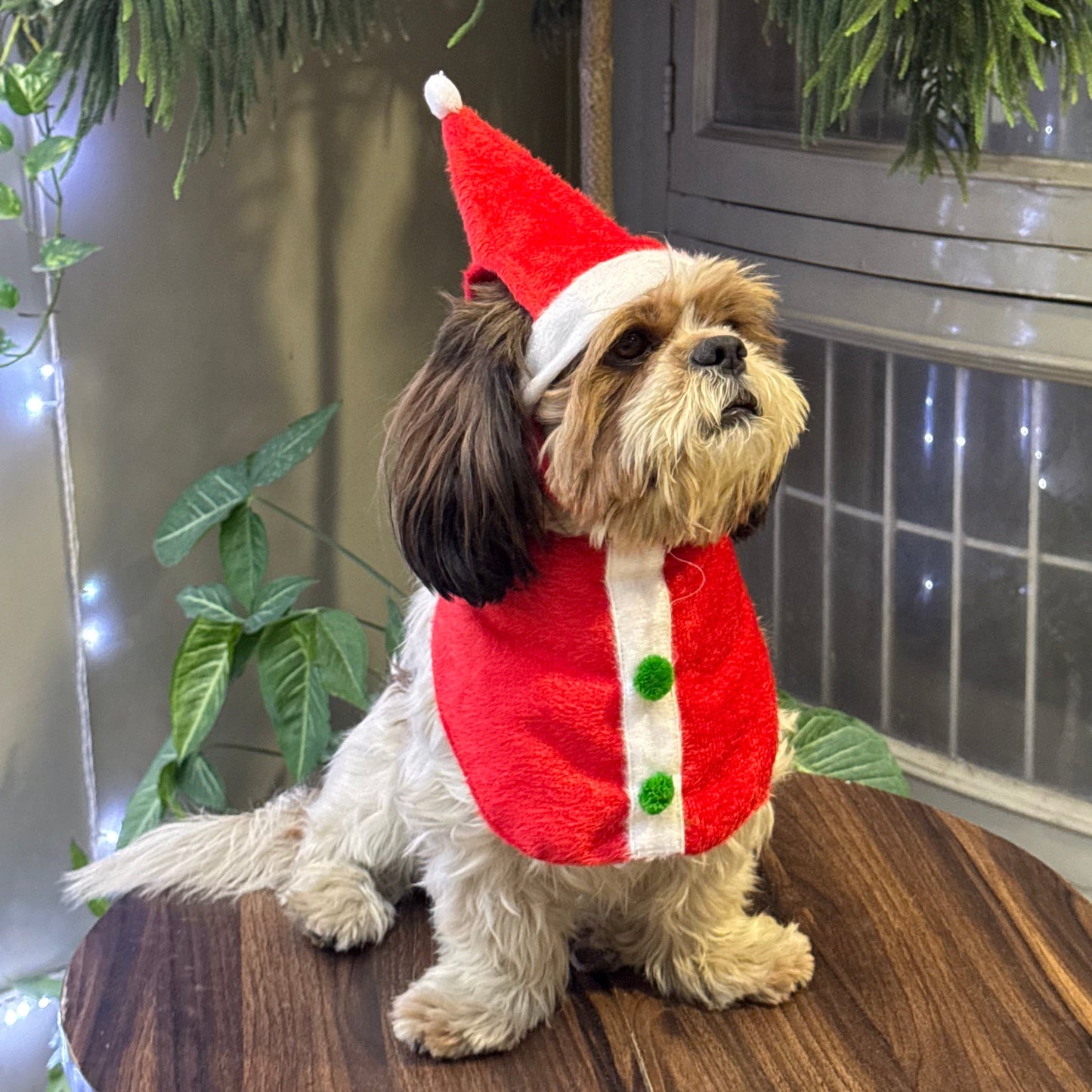 Pawgypets Christmas Bandana for Dogs and Cats