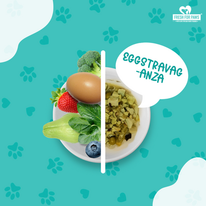 Fresh For Paws Variety Pack Wet Food for Dogs