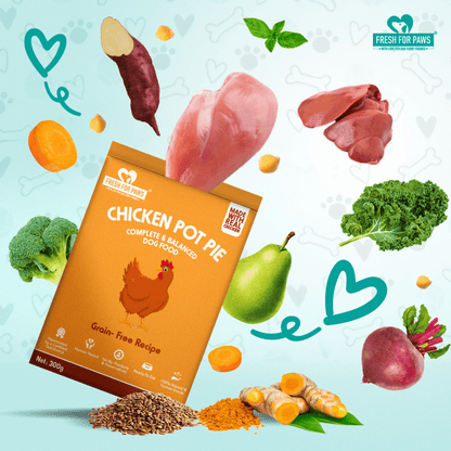 Fresh For Paws Variety Pack Wet Food for Dogs