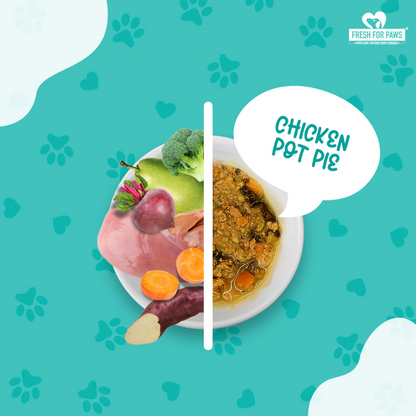 Fresh For Paws Variety Pack Wet Food for Dogs