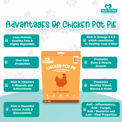 Fresh For Paws Variety Pack Wet Food for Dogs