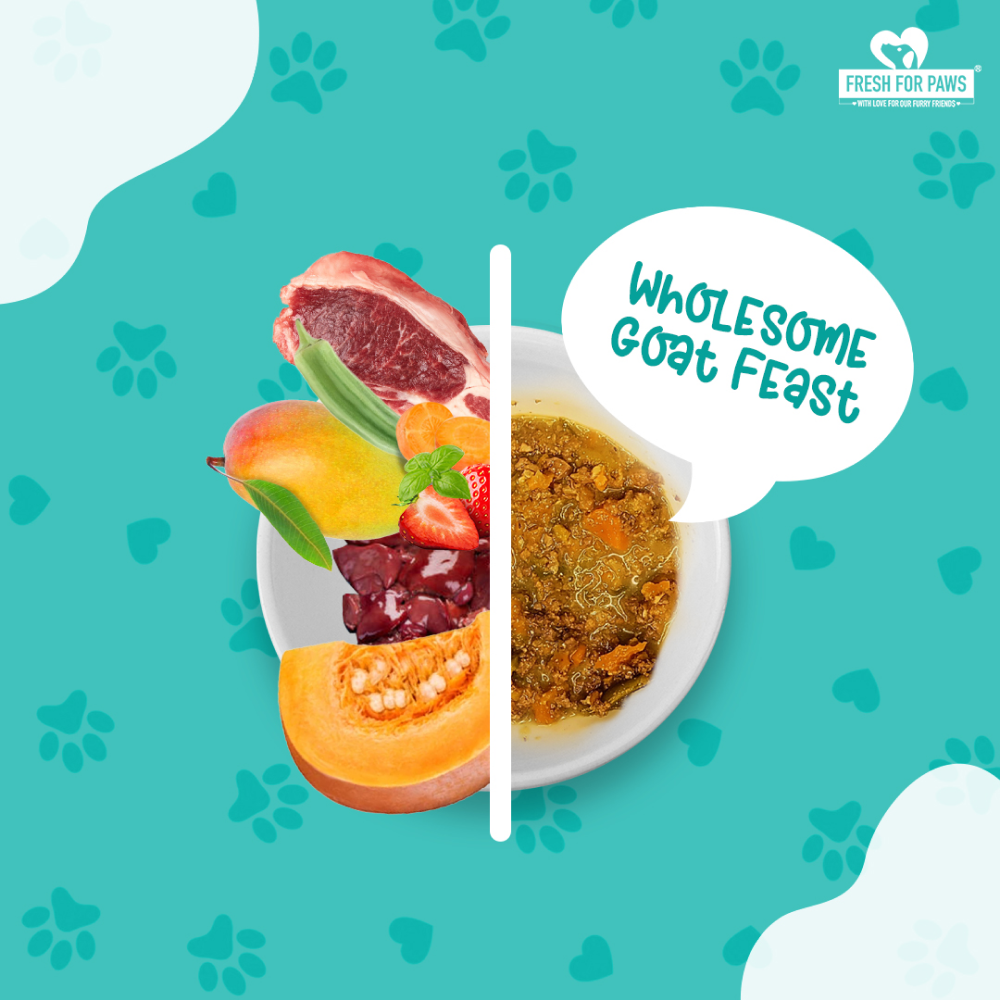 Fresh For Paws Variety Pack Wet Food for Dogs