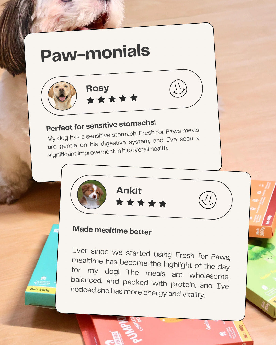 Fresh For Paws Variety Pack Wet Food for Dogs