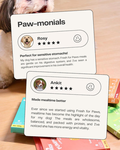Fresh For Paws Variety Pack Wet Food for Dogs