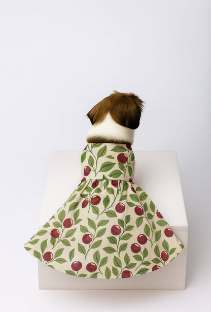 15 Furries Blushing Berries Dress for Dogs