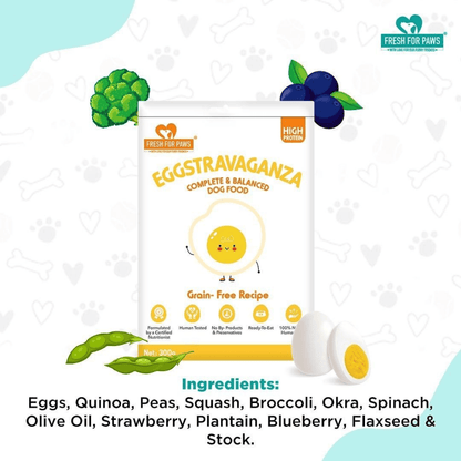 Fresh For Paws Variety Pack Wet Food for Dogs
