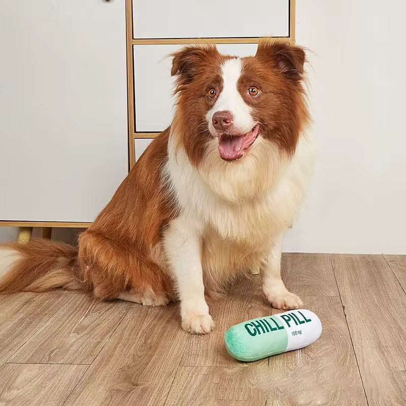 Talking Dog Chill Pill Plush Toy for Dogs (Green)