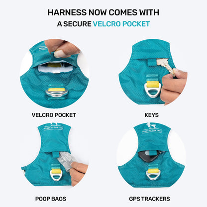HUFT Walkmate Harness for Dogs (Teal Green)