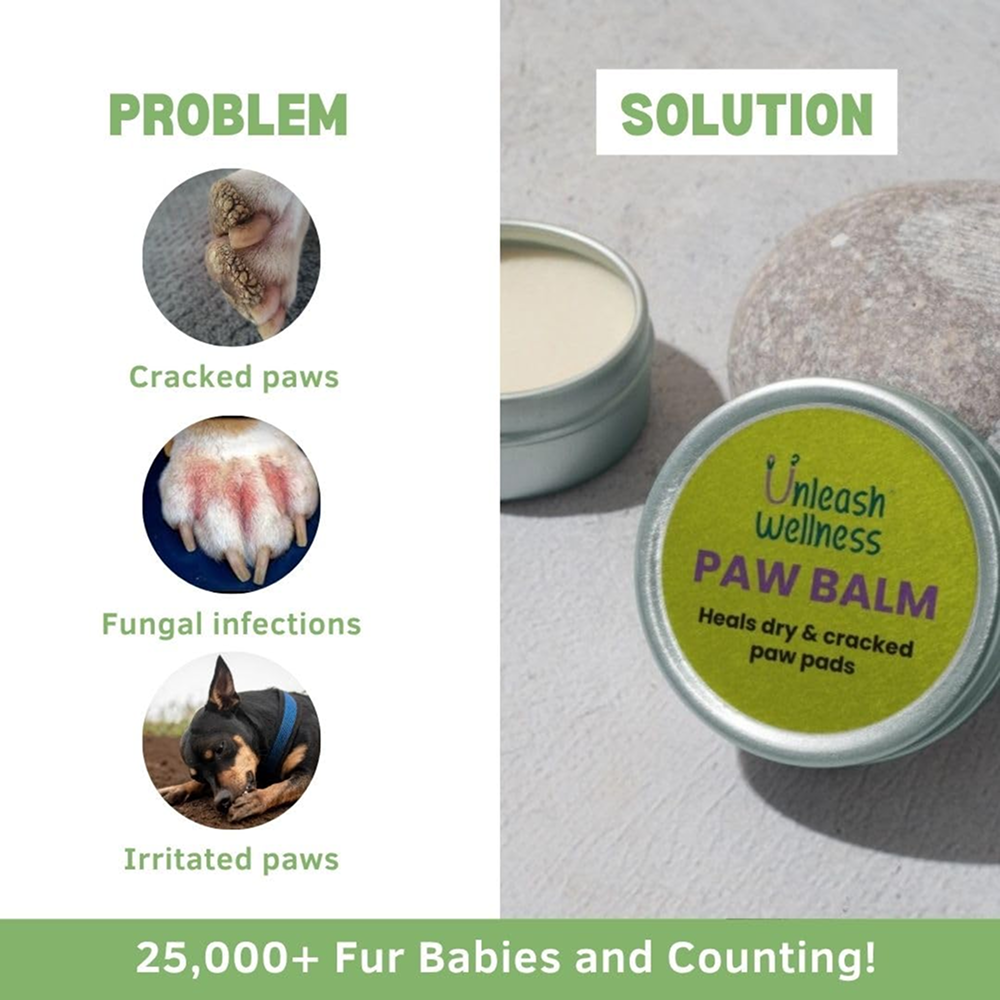Unleash Wellness Natural Paw Balm for Dogs and Cats