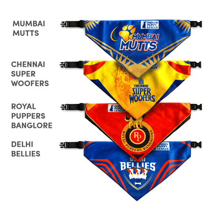 Barkbutler Chennai Super Woofers Bandana for Dogs | Indian Pet League