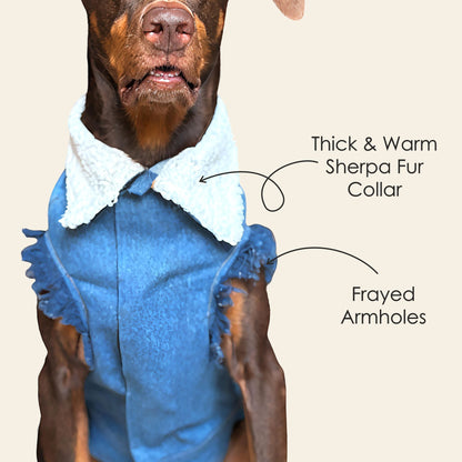 Petter World Pawluxe Sherpa Denim Jacket with Fur Collar for Dogs (Blue/White)