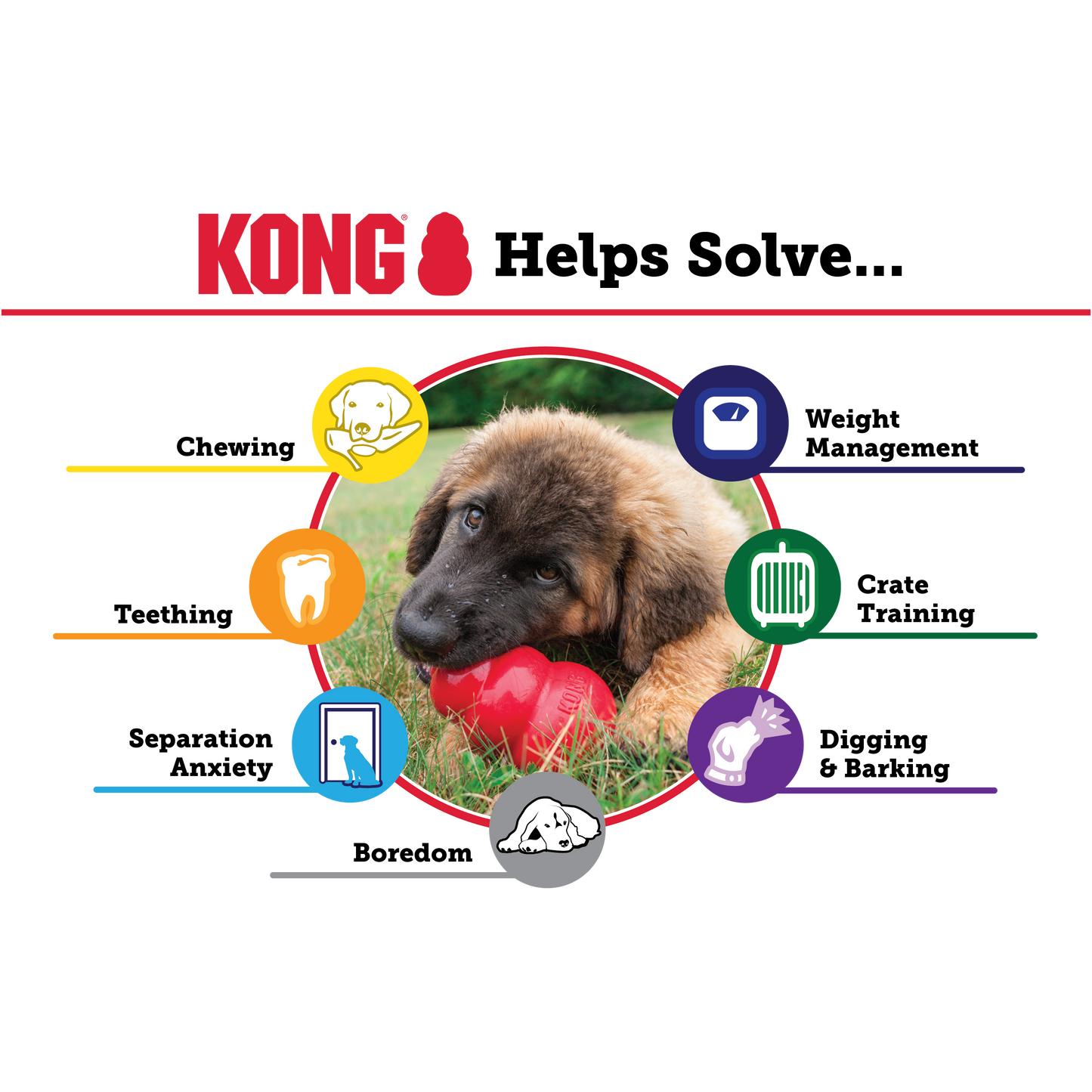 Kong Extreme Toy for Dogs (Black)