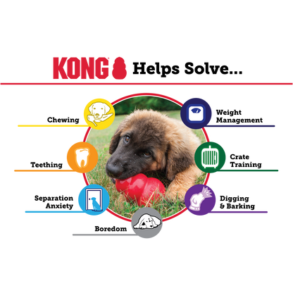 Kong Extreme Toy for Dogs (Black)