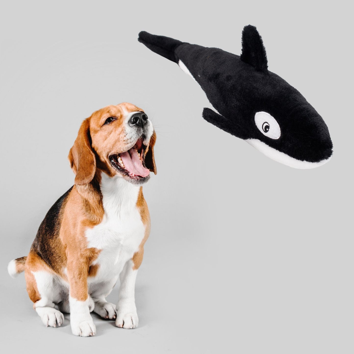 Zippy Paws Killer Whale Jigglerz Plush Toy for Dogs